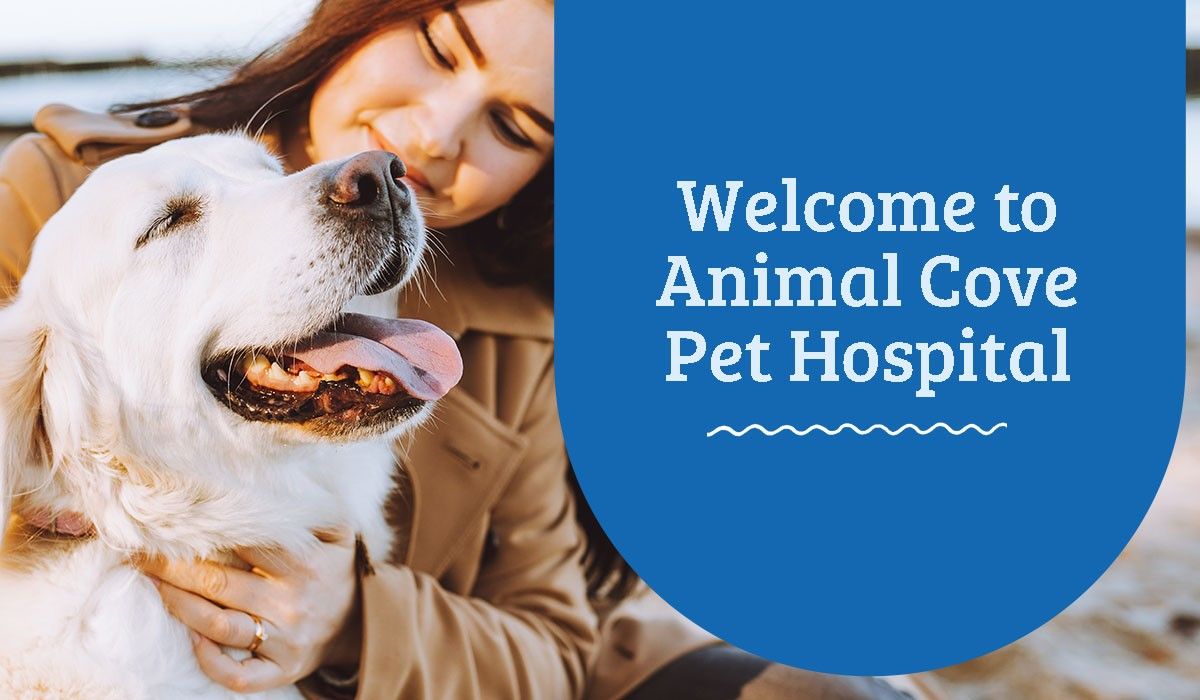 Welcome to Animal Cove Pet Hospital