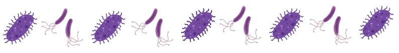 Illustration of purple bacteria with different shapes and appendages, arranged in a repeating pattern.