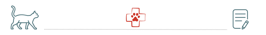 pet insurance helping cover cat care at Animal Cove Pet Hospital Foster City CA