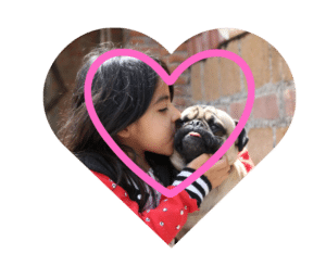 Experienced vet in Foster City, CA providing personalized veterinary care at Animal Cove Pet Hospital