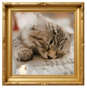 Framed photo of sleeping cat at Animal Cove Pet Hospital in Foster City, CA