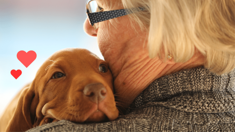 Pet owner cuddling a new puppy as part of preparing for pet ownership in Foster City, CA